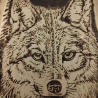 oplus_32 animali totem ombra pirografia